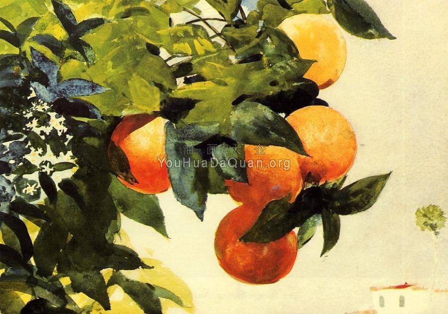 Oranges on a Branch - 温斯洛·荷默